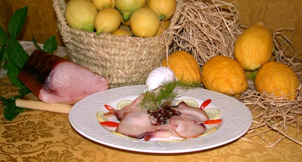 Alimentari e prodotti ittici - Aurora Group SPA 